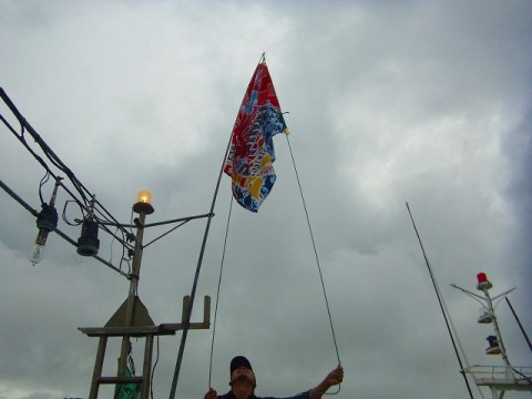 ewrv58jwf5ryyh2sg2dz_480_480-6e762682.jpg