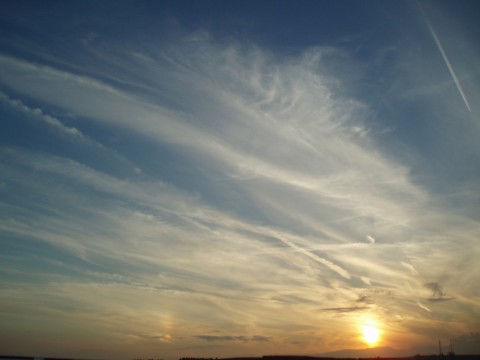 ex3yp4cnbzep95izvghg_480_480-950b0f39.jpg