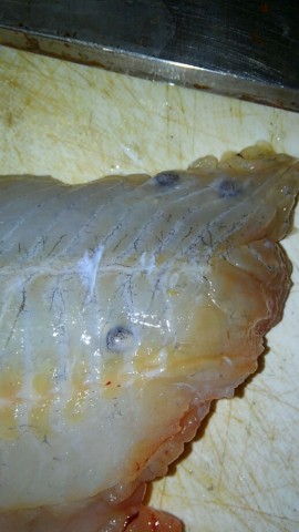 ex94nxh55y8gfgdtfber_518_920-37ec80d3.jpg