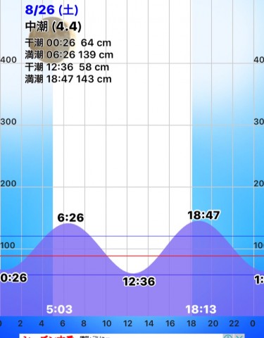 exbzj84gzw723drnbxxc_480_480-894f8906.jpg