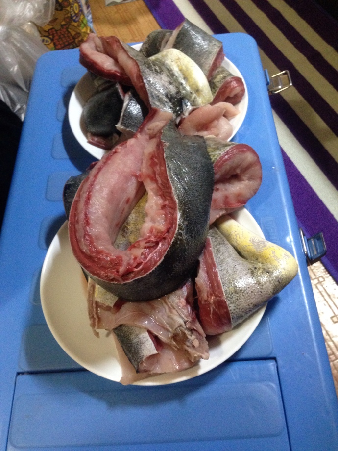影武者の魚種格闘技戦 シイラ料理