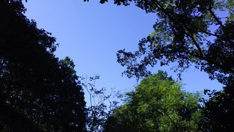 exgspbtiyiatc7guvxcm_920_518-f109c00b.jpg