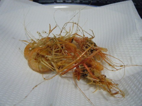 exh5uiy6riyjuoh7hwh8_480_480-9f6f0da7.jpg