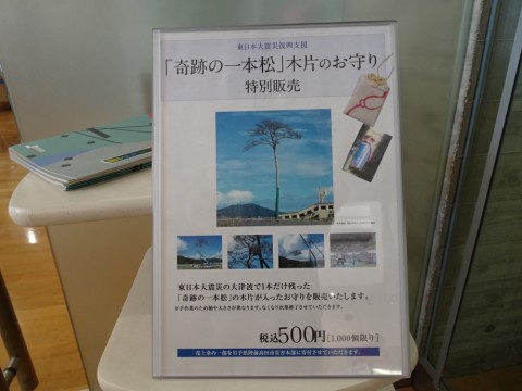 exkb67n58ne2kxfmibwa_480_480-ea4cc62c.jpg