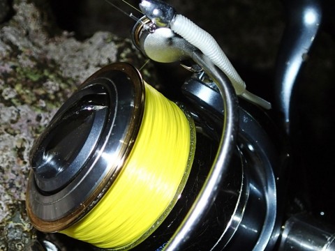 exv6gh33z4stkp4acjv7_480_480-40f16f87.jpg