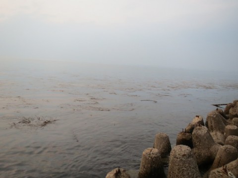 exvbwjxwheeaektp6woy_480_480-fd380f36.jpg
