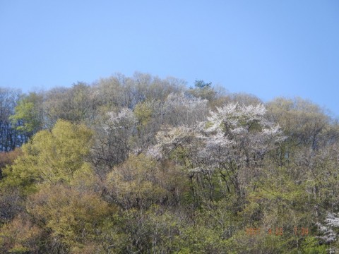 exvzyir5323cx6nzovgj_480_480-5ed79633.jpg