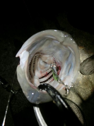 eyerpftmgwyjcns7rofk_690_920-ecb02328.jpg