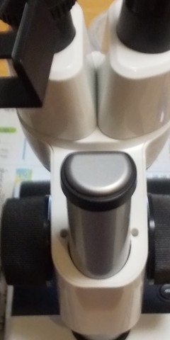 eyexdskd3sowv39b27tt_480_480-5e6e32e6.jpg
