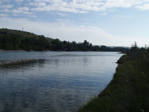 eyf8mkvu72denkbfsjr7_480_480-db7a8658.jpg