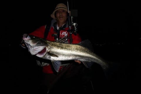 eyi2rkcuh2488mk92djm_480_480-203cf820.jpg