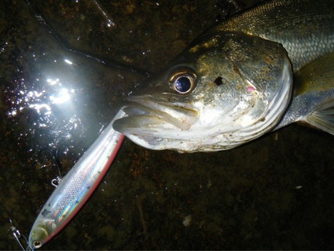eyysfepjg59y425gdns9_920_690-07291ee3.jpg