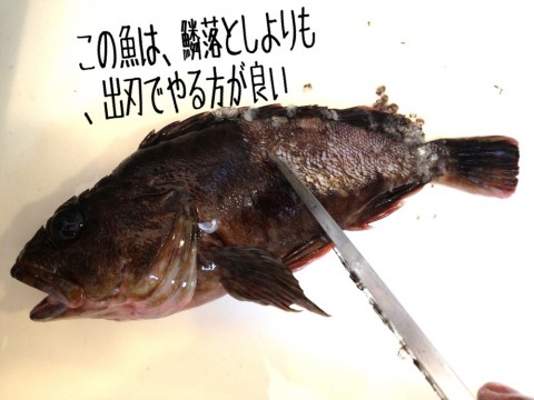 ez2yyn42dig554msjvzr_920_690-3113c1b7.jpg