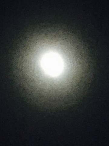 ez537vjdj2a7rw2ychpy_690_920-fe07085b.jpg