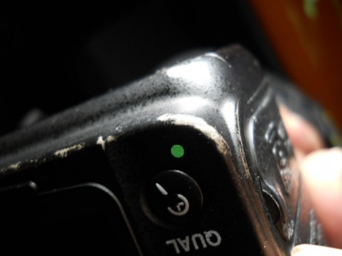 ezjg7cf83kpragkb5dtg_480_480-c58815eb.jpg