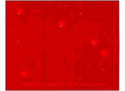 ezp9k7ry4oxh8nejtz7k-80a36c7c.jpg