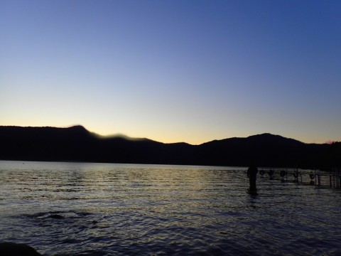 ezrzmw5767xhzcwtaa2c_480_480-021685bb.jpg
