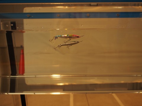 f294vhpewsfu8vgwkc89_480_480-7610ba22.jpg
