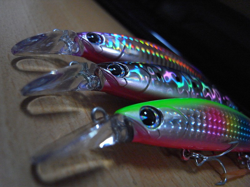 Crazy Cool Hunter In Hama 魚道ﾘﾆｭｰｱﾙ