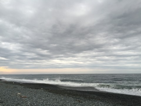 f3aeih85mofhrzsgvd6r_480_480-fd96e8d5.jpg