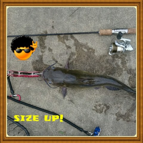 f3fcuozx23or8v7rmmy5_920_920-1abb7e89.jpg