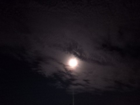 f3hb9dof8uobxnu9zn8z_480_480-75d750de.jpg