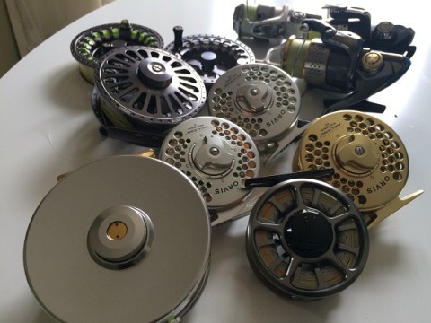 f3mv4biadzgwbimju5xp_480_480-3cf2fcb6.jpg