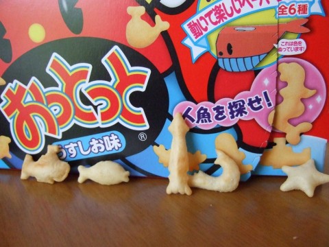 f3pyivb6cpgky95kk4an_480_480-2770004a.jpg