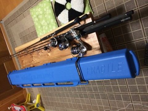f3r2o2wjrdbrdoc7gbjo_480_480-9ec7b221.jpg