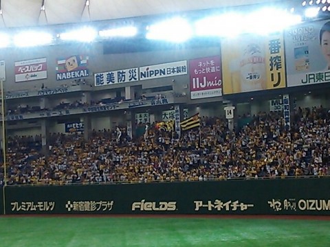 f3suydvecbffbwfk8fia_640_480-4f11c71b.jpg