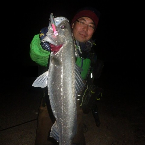 f3vxe2j3pv4y7ed4zenn_480_480-986b67e4.jpg