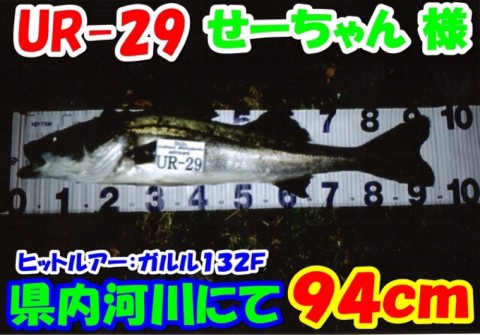 f3z7n52oc4gikb4gxibp_920_643-8562b510.jpg