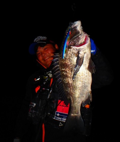 f4jrk97j4j6898auf9oz_480_480-375b09e0.jpg