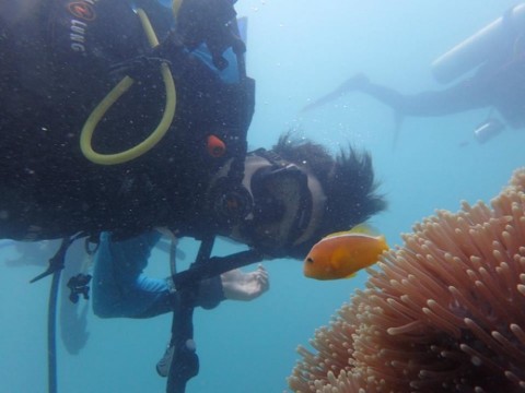 f4v66vj4yta73deoor6e_480_480-49b1e929.jpg