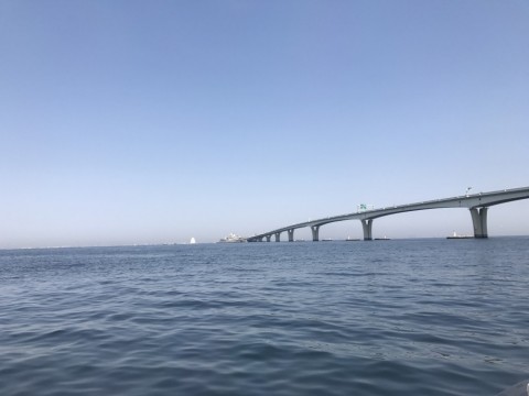 f4ys2aakphia7ezwjnpc_480_480-bacd08db.jpg