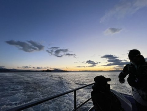 f598eriyxj766p4joy88_480_361-86dd3f73.jpg