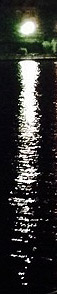 f5m4t6jtjdouhpepbmh8-a616ee8c.jpg