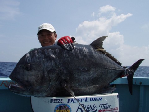 f5ovukmseo5hhi88apkb_480_480-1014e6e4.jpg