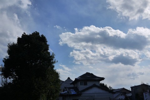f67xya5ni4btppirigp2_480_480-51607fd5.jpg