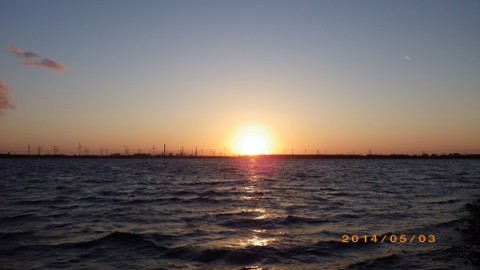 f6chhcd3nig8mi2rse3u_480_480-4acb6e6a.jpg