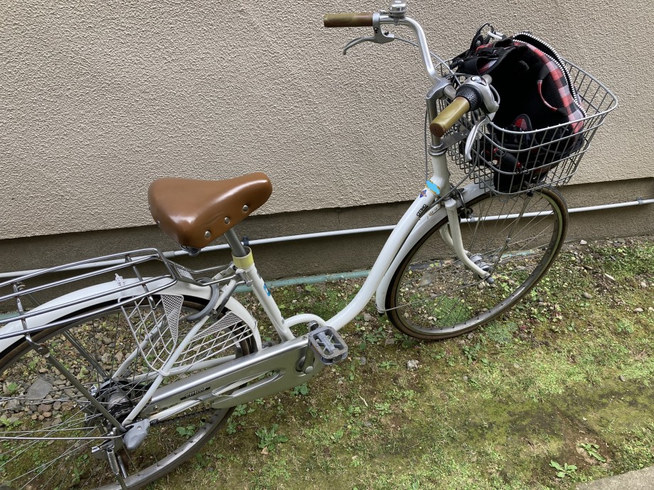 東京湾奥の学生アングラー】 自転車釣行ならコレだu203c