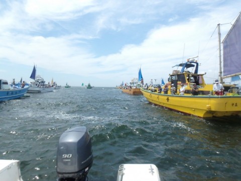 f6r6p6vs6tsxjizrr228_480_480-71be9aed.jpg