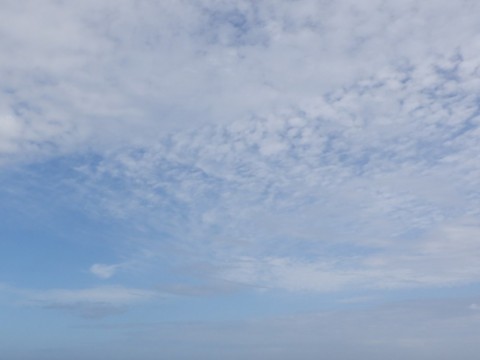 f6twm5p6xd4stxx48853_480_480-437bb979.jpg