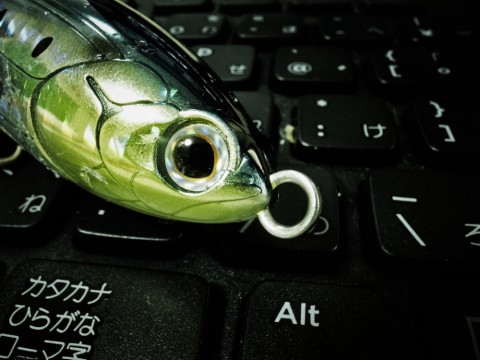 f6xhrtstv42k9zmmd77a_480_480-43161030.jpg