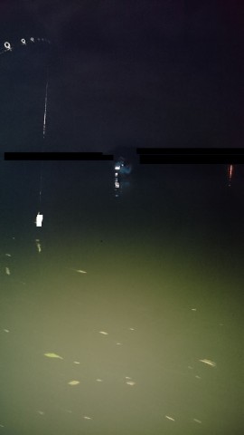 f6zpo4a7ekm5jcspdgj9_480_480-591bf6ff.jpg
