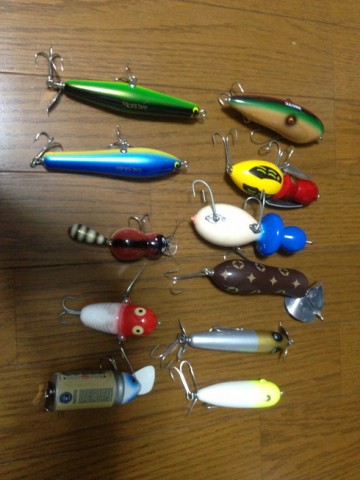 f76vjmf6udsvhkgctgku_480_480-40fe2b74.jpg