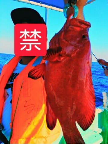 f7addjdfvm2ep7amep7v_480_641-dcc85137.jpg