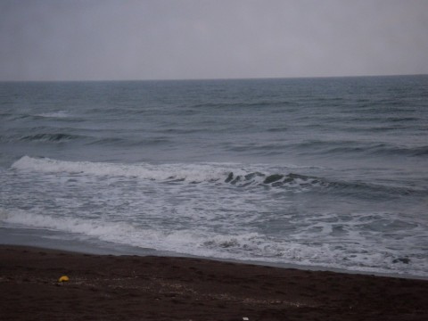 f7fba5nbiws2nms2utui_480_480-b064fede.jpg