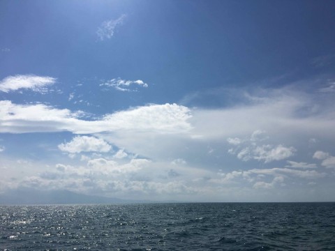 f7jghwrycpm88ozhztg7_480_360-e42f3214.jpg