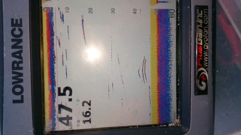 f7nwoguh4zvttucytmgo_920_517-d349b127.jpg